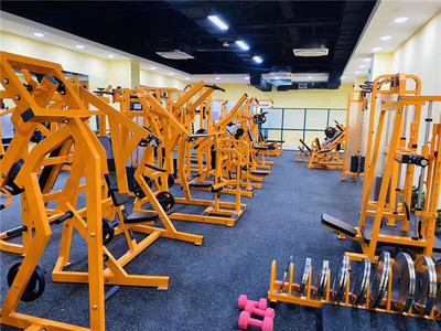 健身器材進(jìn)出口與工藝品市場(chǎng)的價(jià)格分析