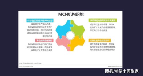 抖贊科技文化傳媒 用鏡頭記錄時代，以專業演繹視覺藝術